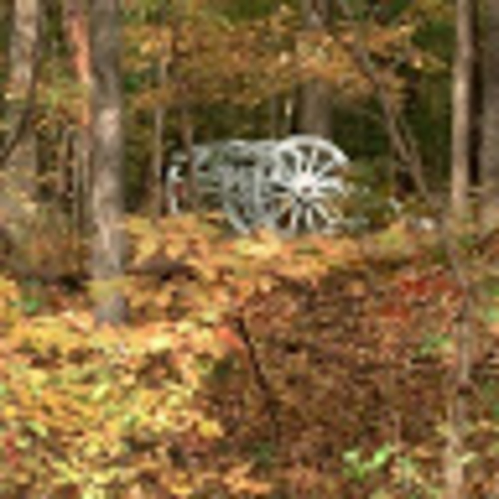 Meet your Posher, Maya